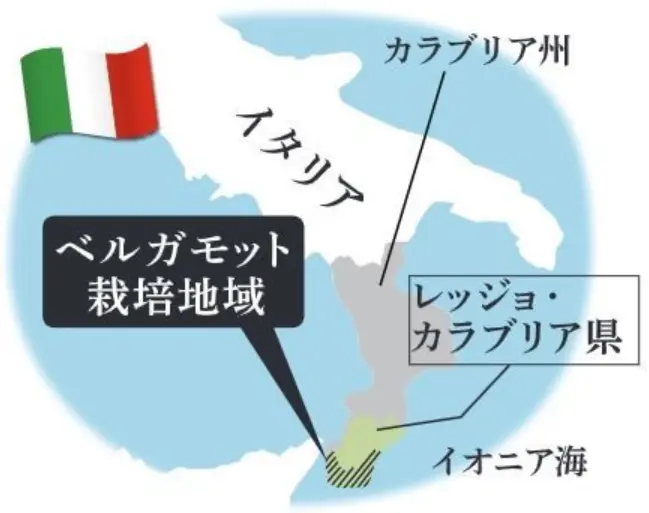 イタリアレッジョ・カラブリア県産のオーガニックベルガモットピール