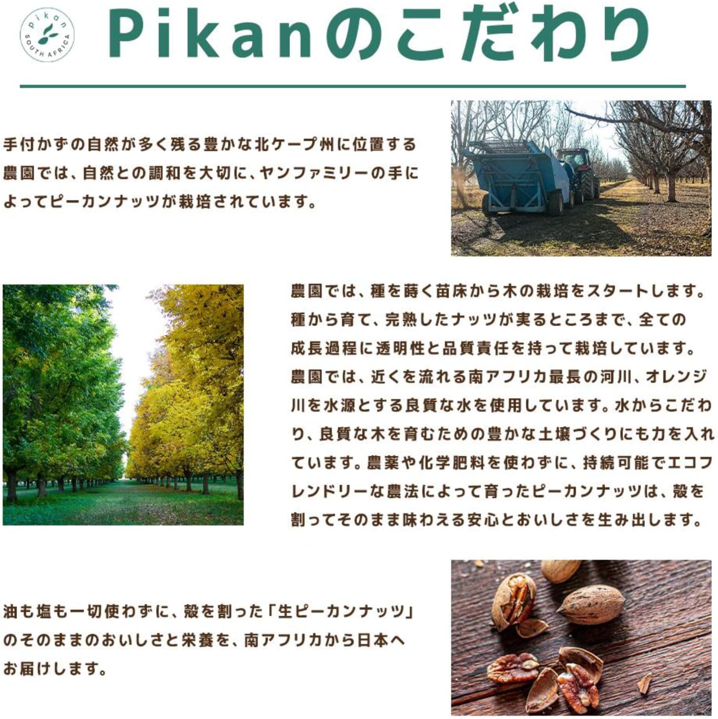 農薬・化学肥料不使用