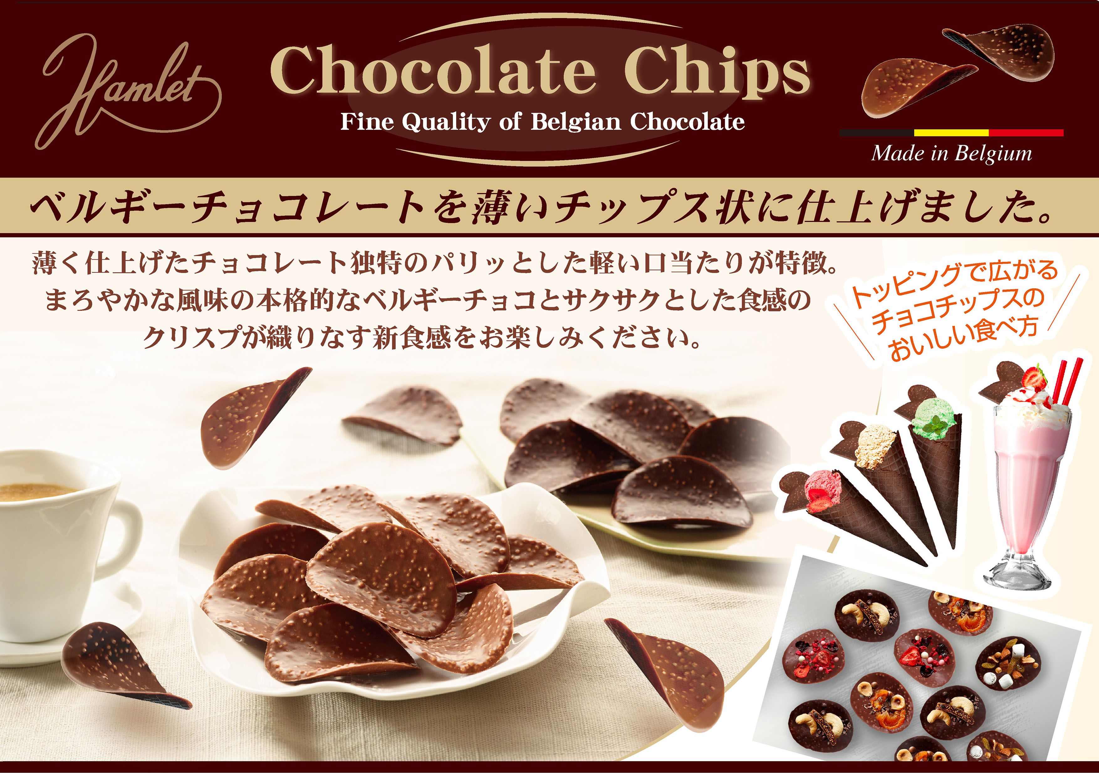 チョコチップスポップ総合A4.jpg