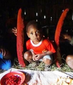 子供から年配者まで赤い果実ブアメラで栄養補給