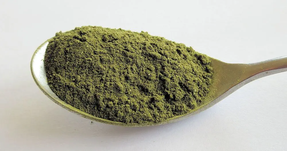 Binahong powder 2.jpg