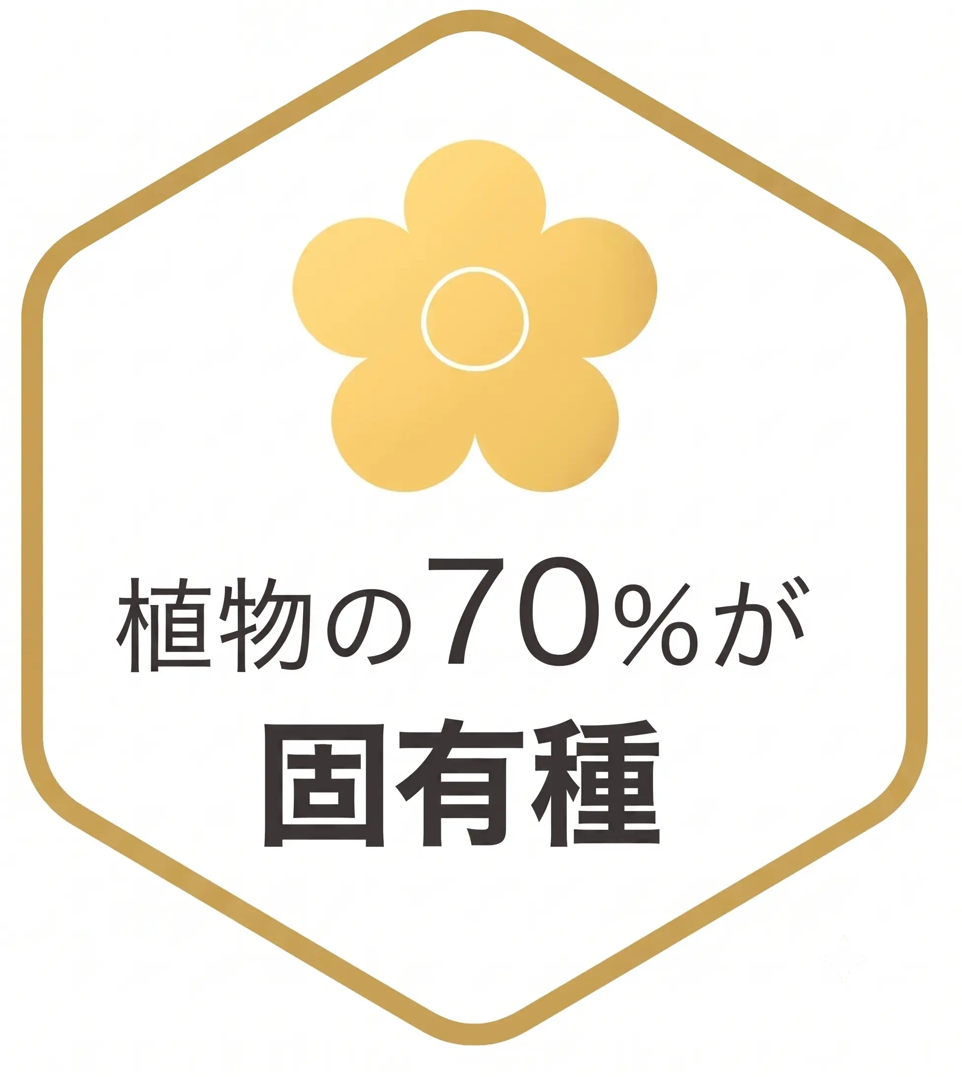 70%が地球上でここだけ。ミツバチが選んだ、奇跡の固有種ハチミツ
