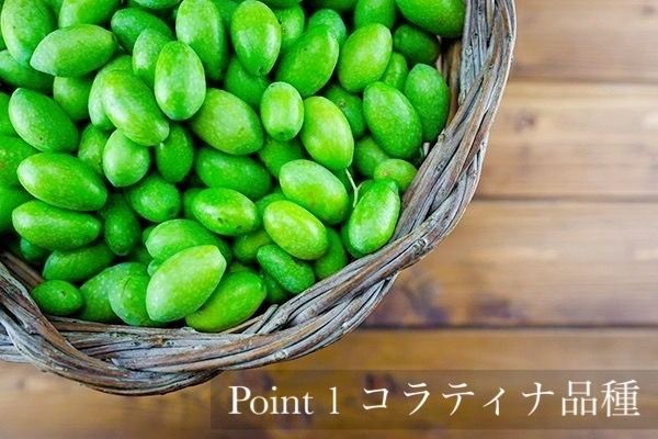 ポリフェノールが豊富な「コラティーナ」品種を使用