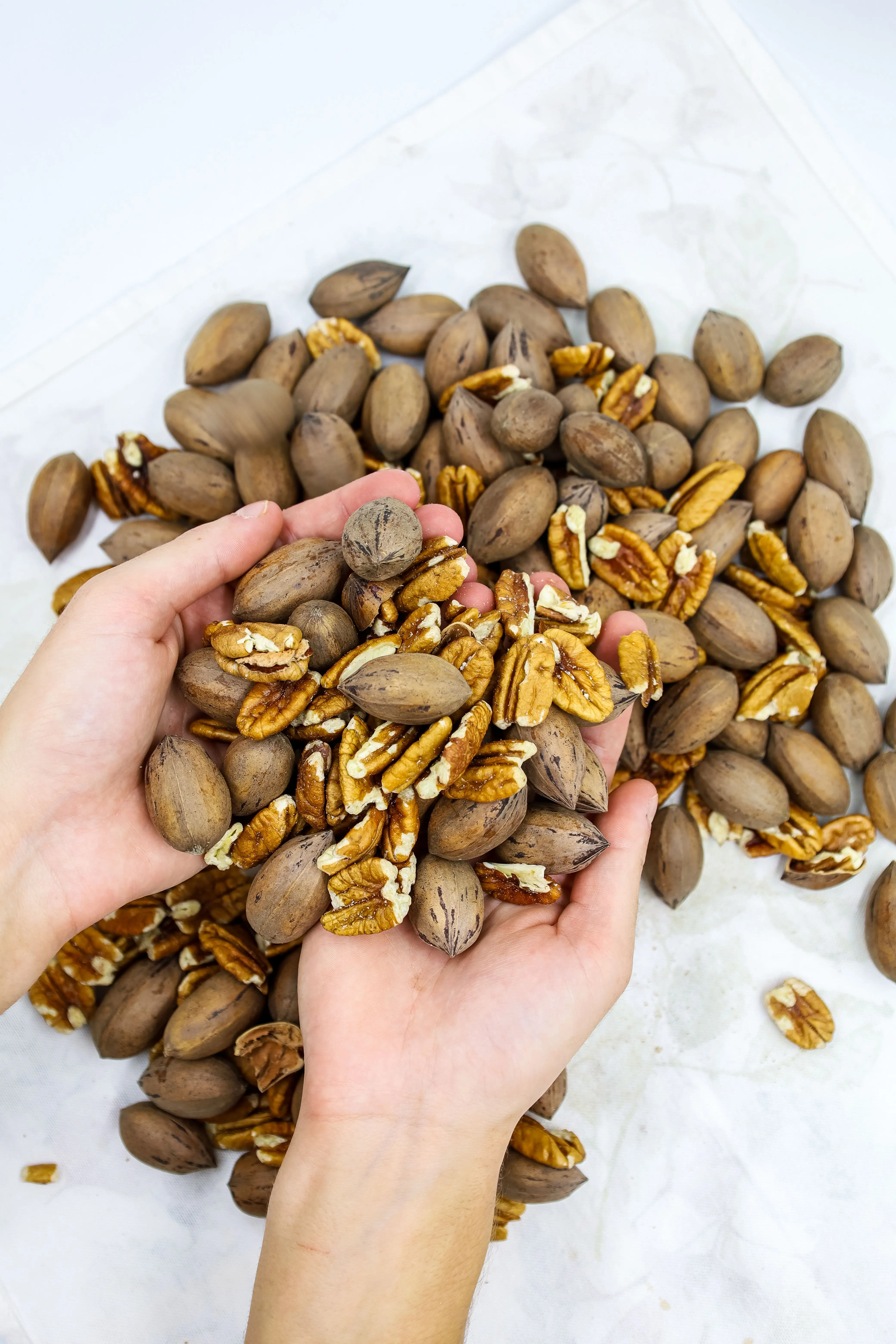 油コーティング・塩、不使用