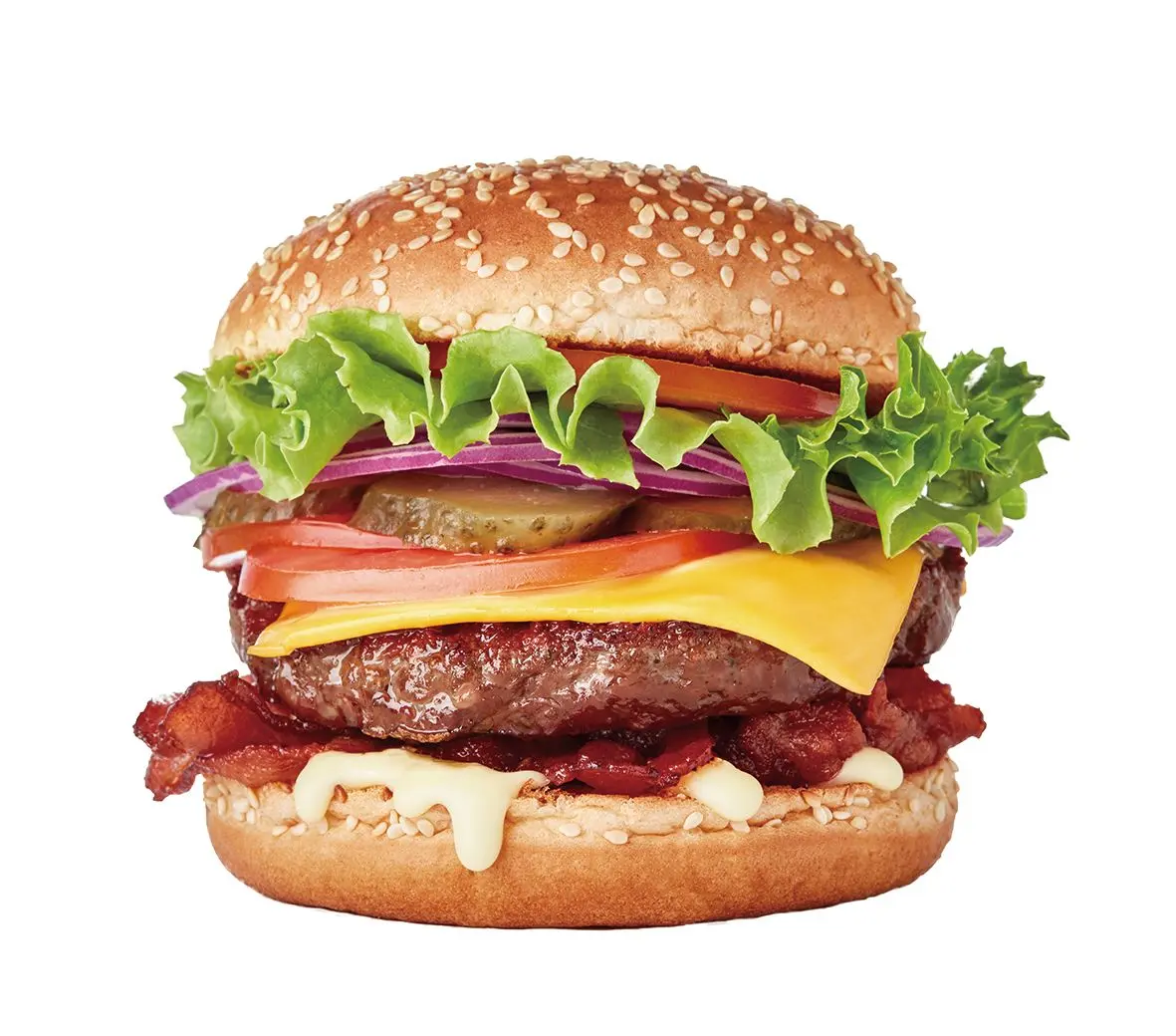 Veg Bistro Burger.jpg