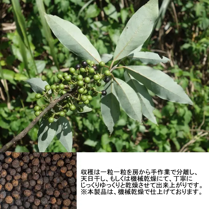 岡萬　画像サイズ　マーガオ③.webp