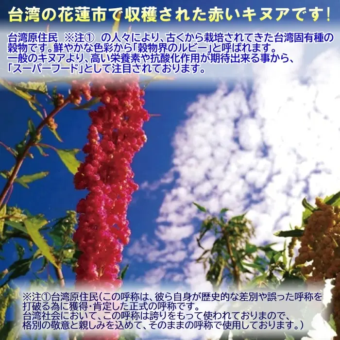 赤キヌア①.webp
