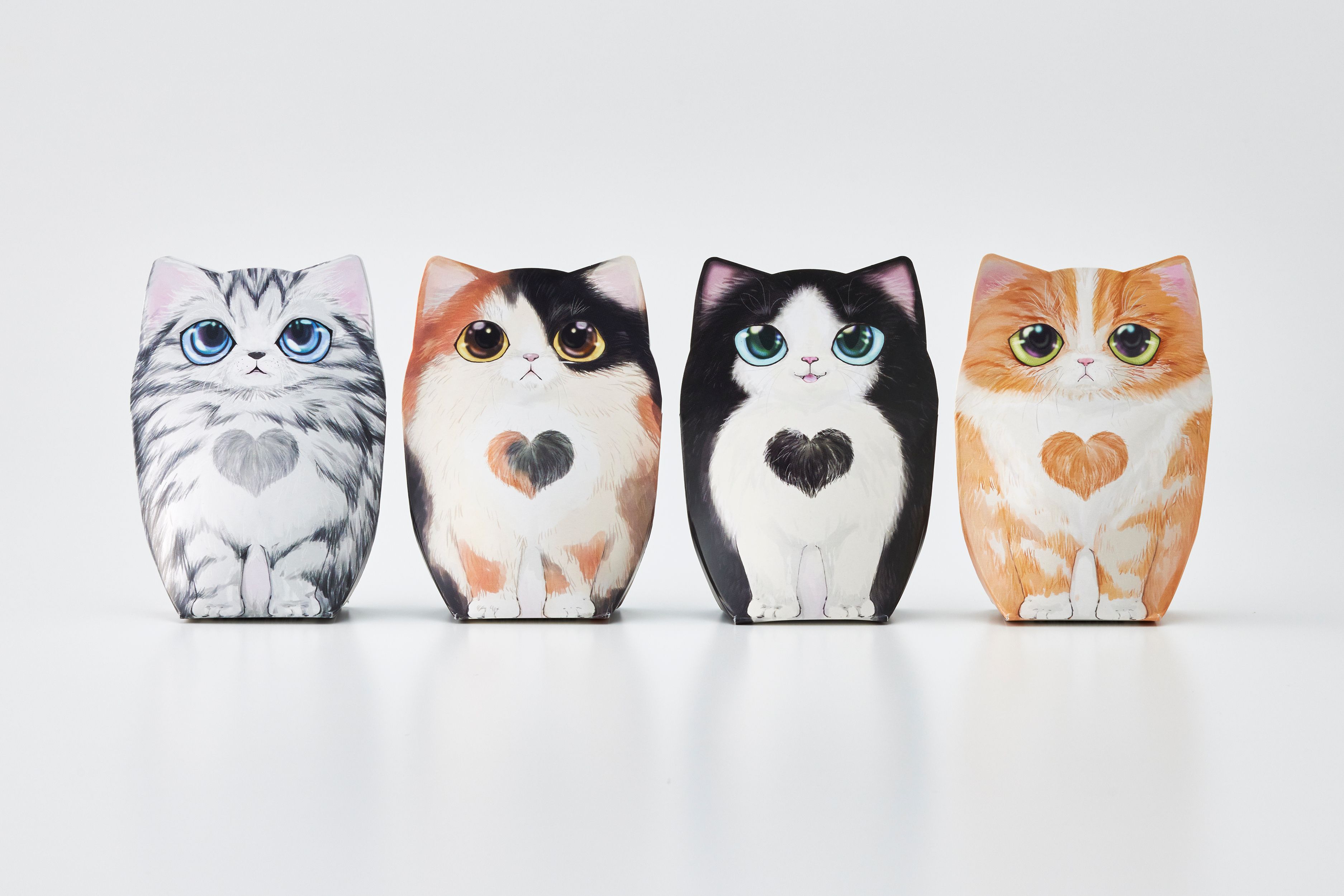 コフレシャトン 子猫