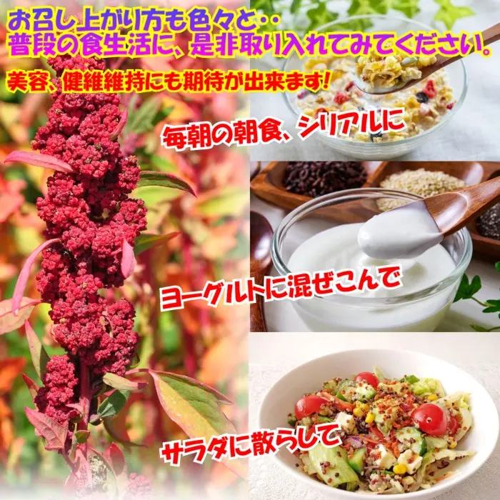 赤キヌア④.webp
