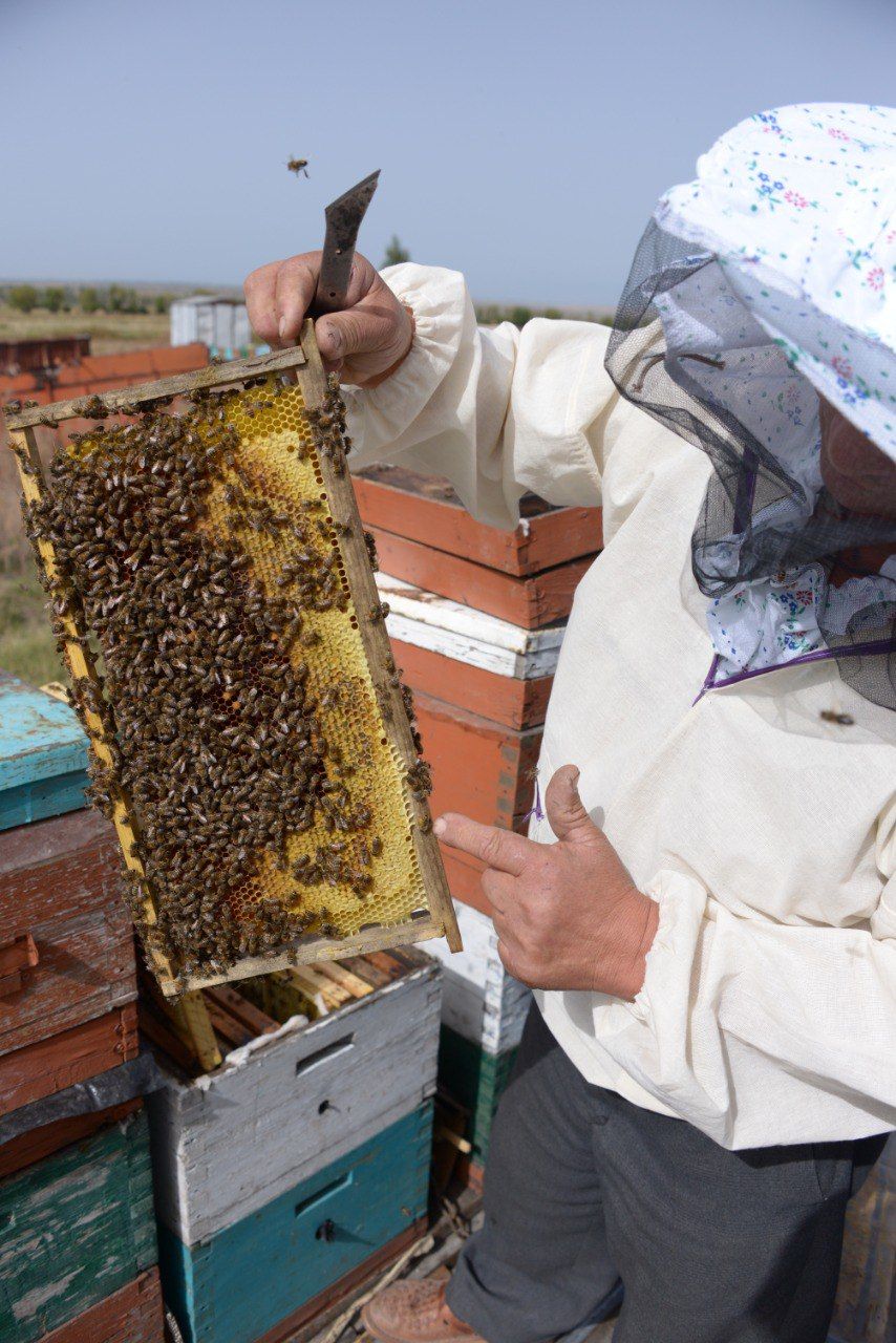 bee producer.jpg