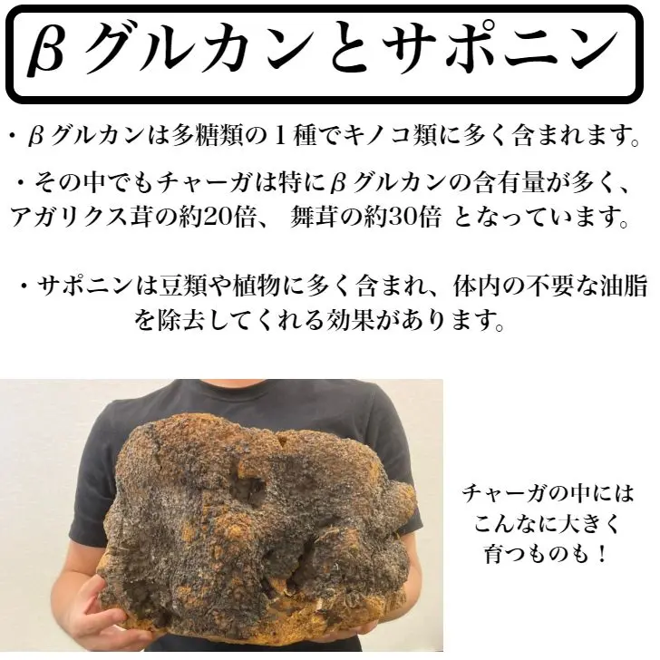 chaga06.jpg