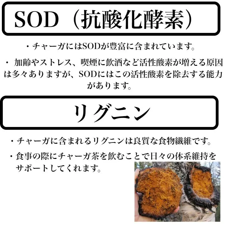 chaga07.jpg