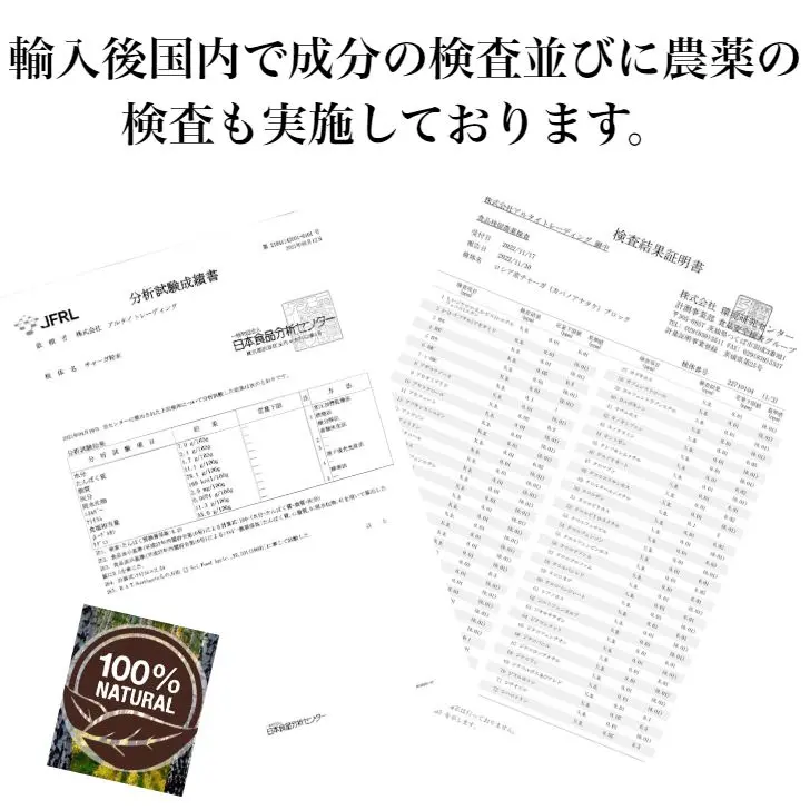 chaga08.jpg