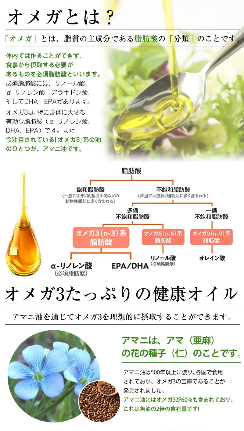 yamaziyou-1.jpg